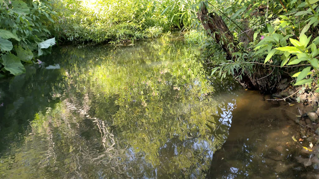 Photo of some open water